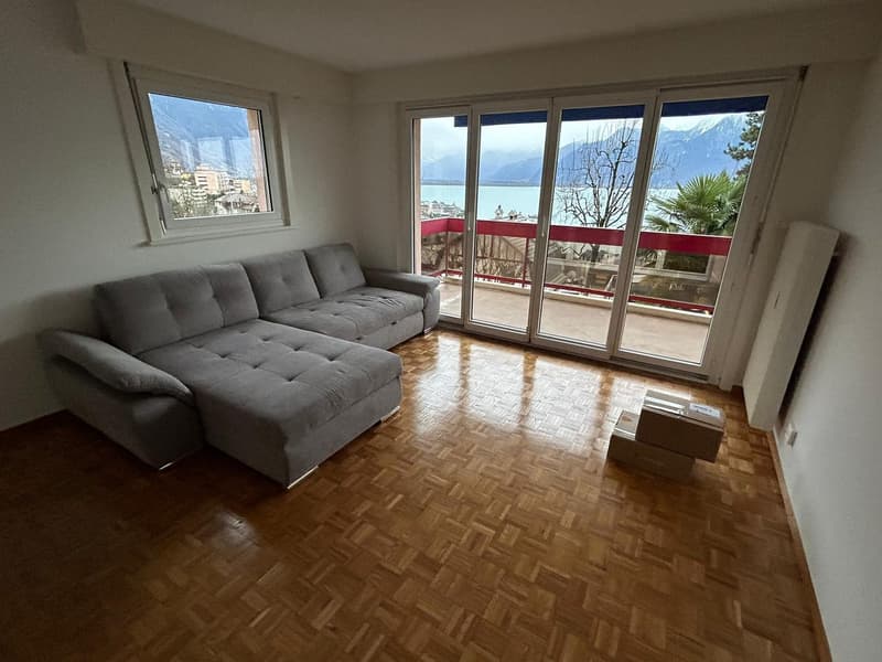 Bel appartement 2 pièces avec vue lac (1)
