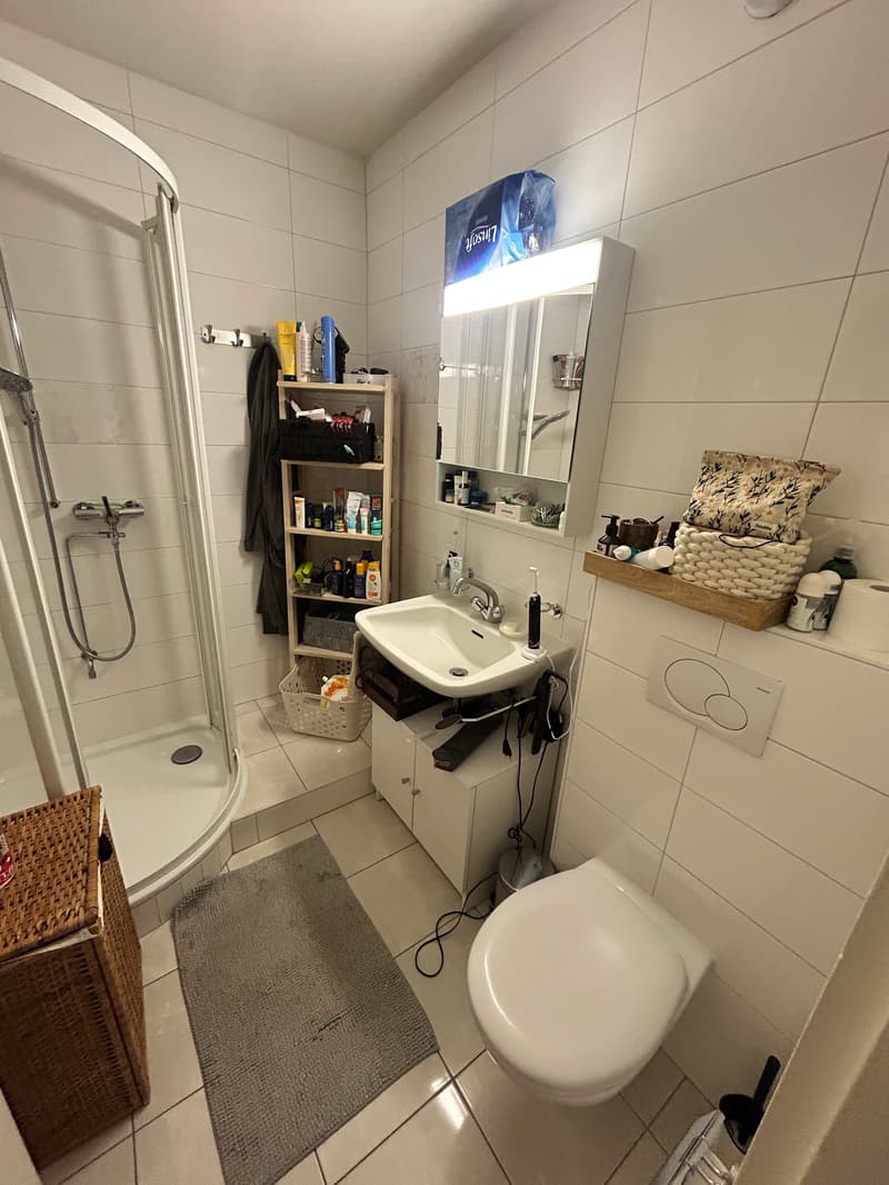 Bel appartement 2 pièces avec vue lac (5)