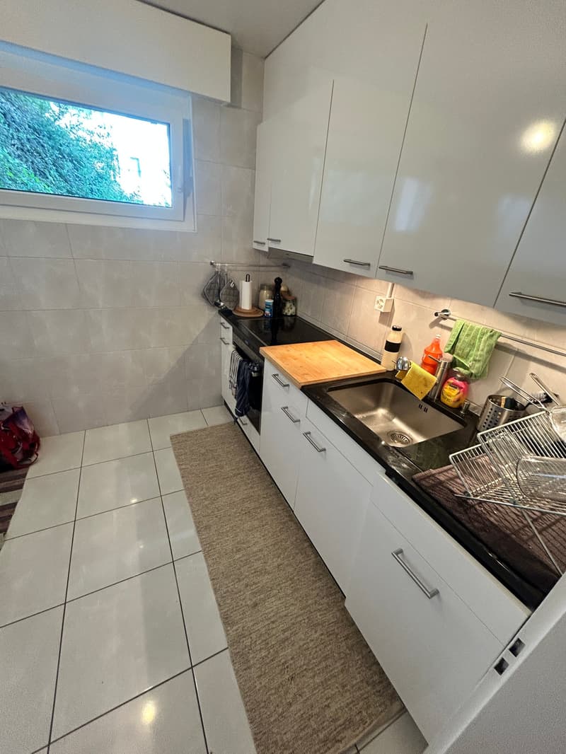 Bel appartement 2 pièces avec vue lac (4)