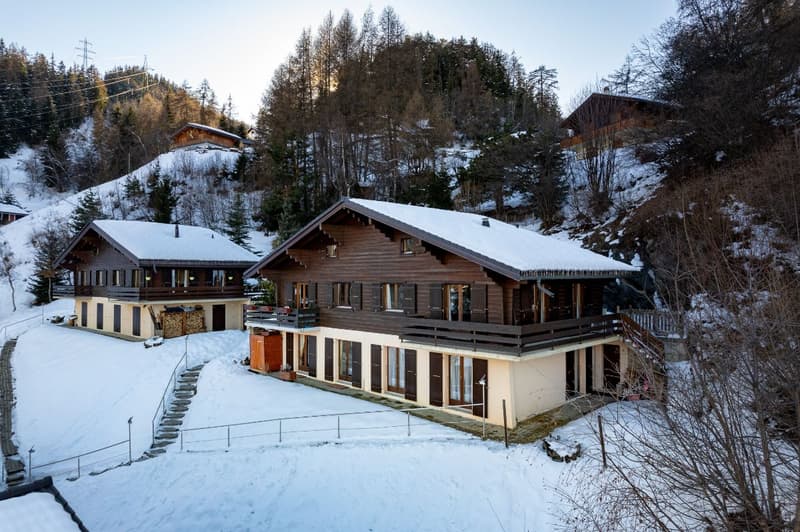 Charming 3-bedroom chalet with panoramic mountain views and excellent access to ski lifts (2)