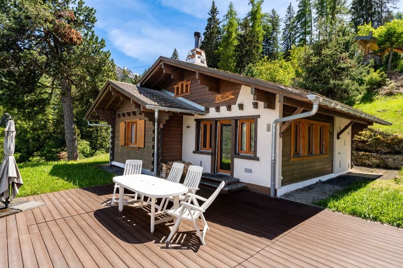 Charming chalet close to the telecabine (1)