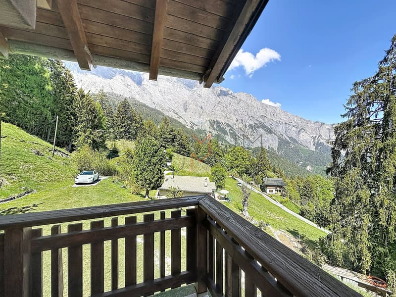 Exclusivity - 5 minutes from Ovronnaz, authentic chalet without neighbors (11)