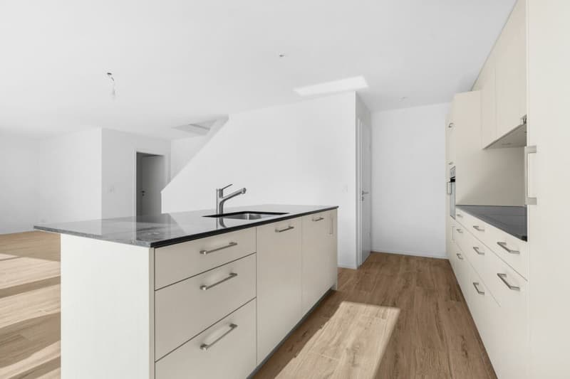 Villa de 5,5 pièces neuve avec magnifique vue (3)