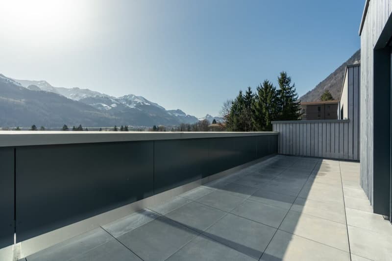 Villa de 5,5 pièces neuve avec magnifique vue (5)