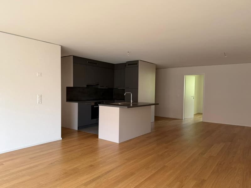 Spacieux appartement de 4.5 pièces au 5ème étage à La Chaux-de-Fonds (4)