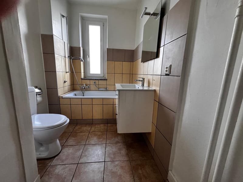 Charmant appartement de 3 pièces (4)