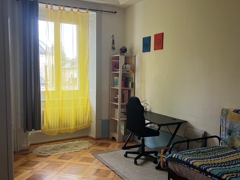 Charmant appartement de 4 pièces au rez-de-chaussée surélevé à La Chaux-de-Fonds (3)