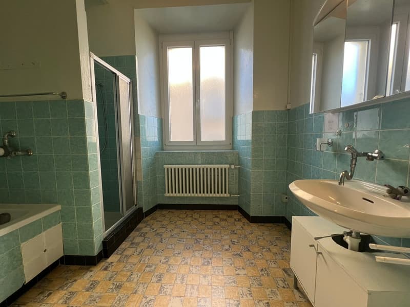 Charmant appartement de 4 pièces au rez-de-chaussée surélevé à La Chaux-de-Fonds (6)