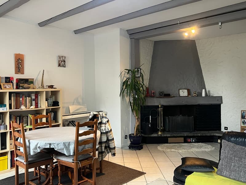 Charmant appartement de 4 pièces au rez-de-chaussée surélevé à La Chaux-de-Fonds (1)