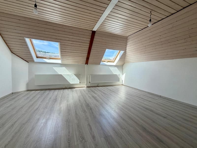Charmant appartement de 3 pièces (1)
