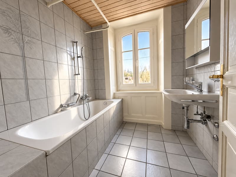 Charmant appartement de 3 pièces (7)