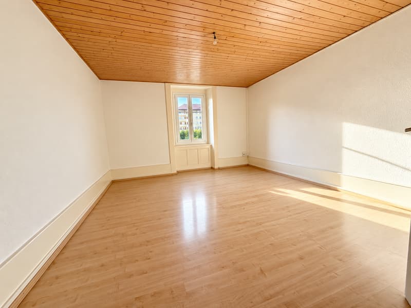 Charmant appartement de 3 pièces (1)