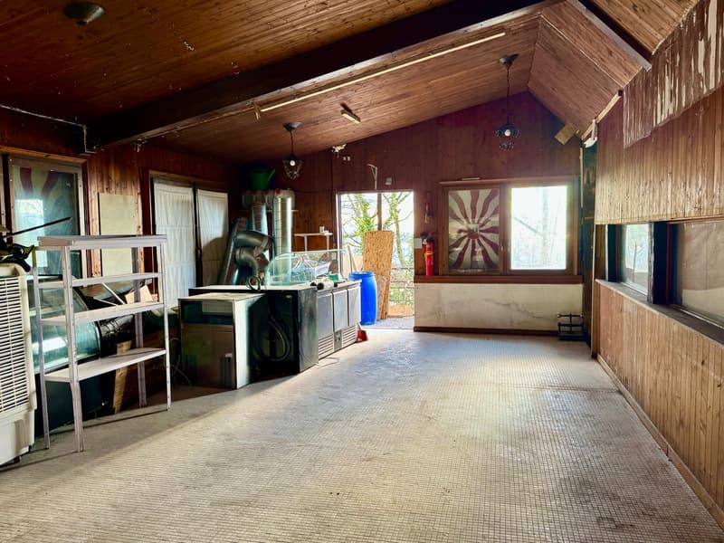 2-room leisure premises in Puidoux (3)
