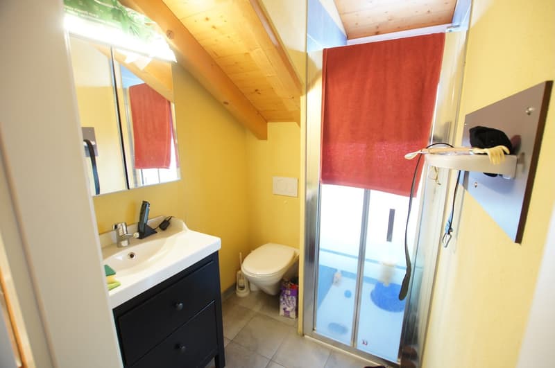 Immeuble rénové en 2016 de 6 appartements + 1 Bar-Restaurant (12)
