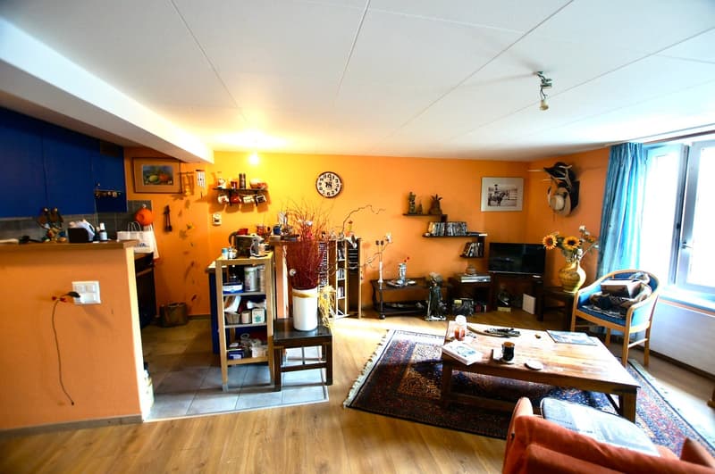 -Mezieres-Vaud-Immeuble-Maison-Appartement-Lausanne-