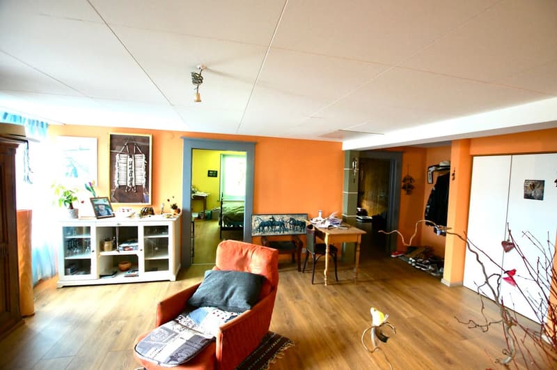 -Mezieres-Vaud-Immeuble-Maison-Appartement-Lausanne-