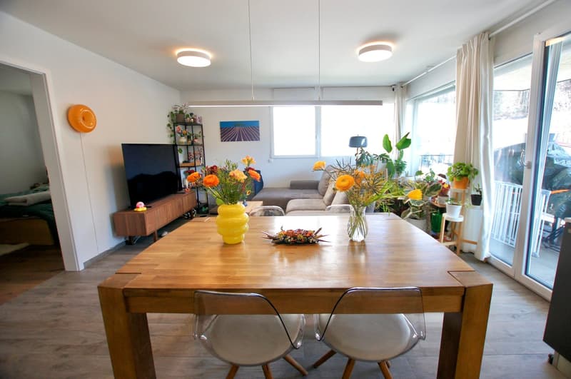 Appartement-Remaufens-Veveyse-Chatel-St-Denis