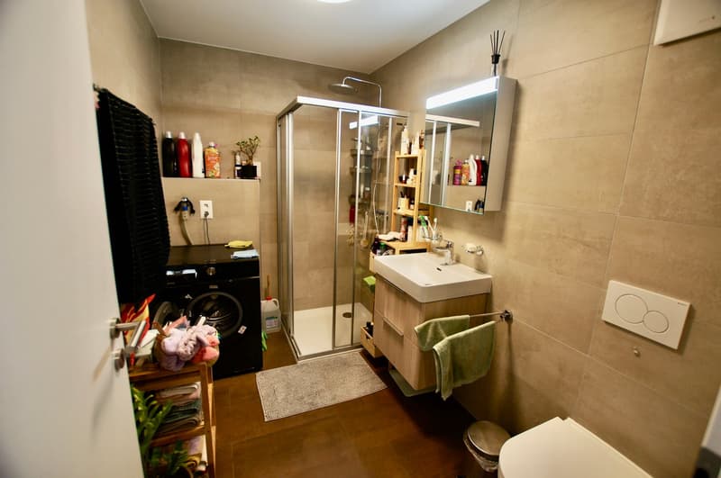 Appartement-Remaufens-Veveyse-Chatel-St-Denis