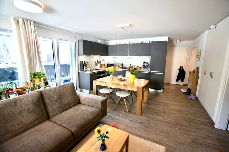 Appartement-Remaufens-Veveyse-Chatel-St-Denis