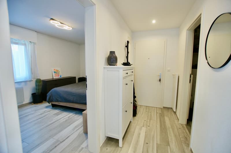 Appartement-SEMSALES-Veveyse-CHatel-St-Denis-LB-Immobilier-