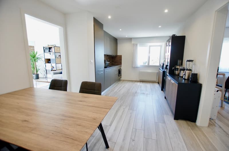 Appartement-SEMSALES-Veveyse-CHatel-St-Denis-LB-Immobilier-