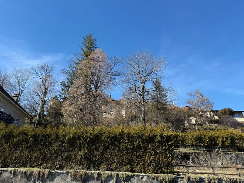 Un'architettura pensata per il benessere (14)