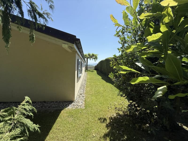 Villa Individuale, piscina Jacuzzi (8)