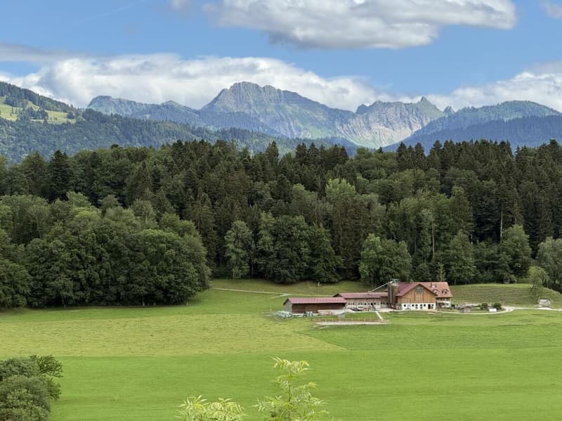 2224 / Reihenhaus mit Panoramablick im Hameau du Sens (14)