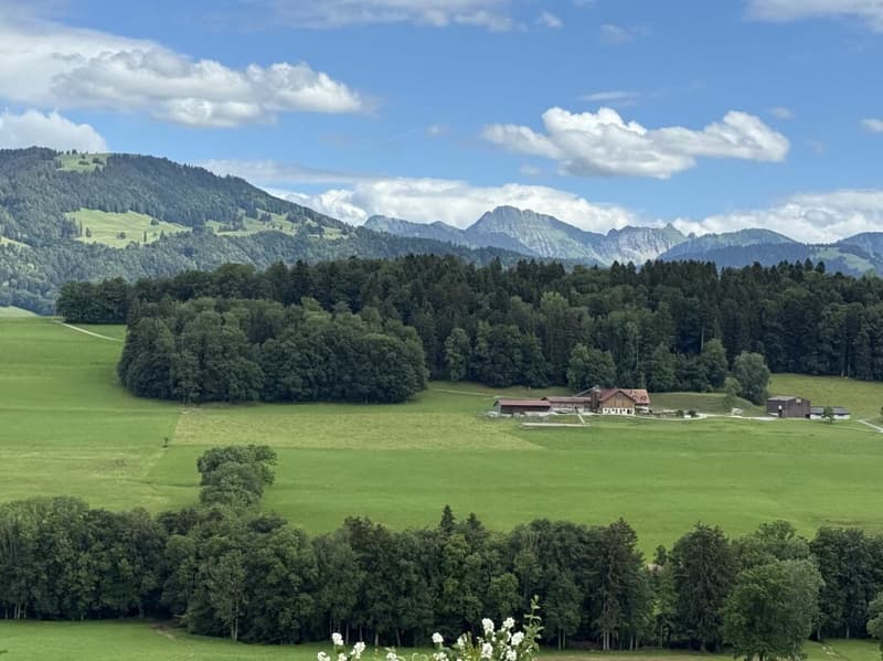 2228 VIîlla jumelée Vue Panoramique Au hameau des Sens (20)