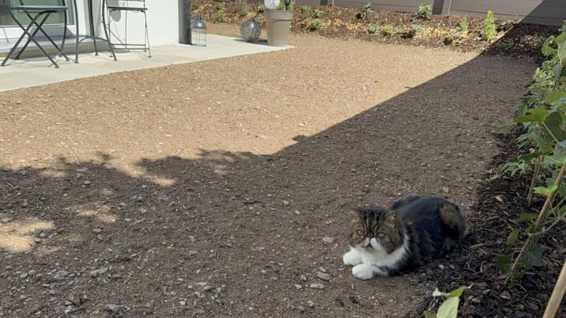 Une villa Neuve  Devenez propriétaires de votre villa CHF 1720/ mois (13)