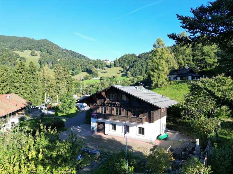 OPPORTUNITY TO SEIZE - CHARMING 5.5-ROOM CHALET WITH BEAUTIFUL VIEW IN A QUIET LOCATION (1)
