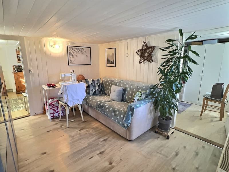 Appartamento di due locali a Château-d'Oex (2)