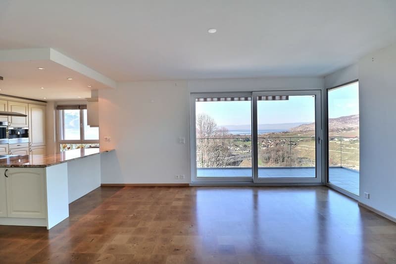 Spacious 5.5-room apartment with breathtaking panoramic view (5)