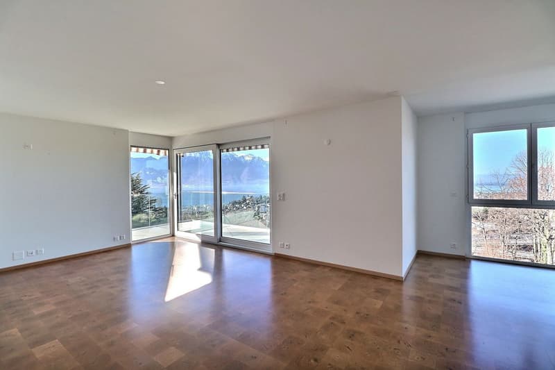 Spacious 5.5-room apartment with breathtaking panoramic view (7)