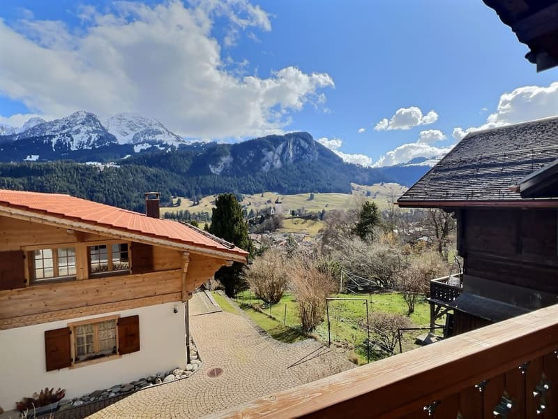 Nice attic duplex for sale in Château-d'Oex (5)