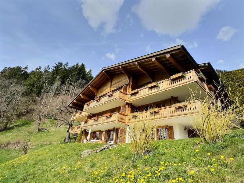 Magnifisches Duplex mit 5 Zimmern zu verkaufen in Château-d'Oex (3)