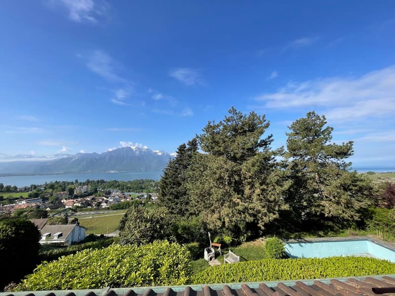 Beautiful 12-room property with a pool and a grand panoramic view (11)