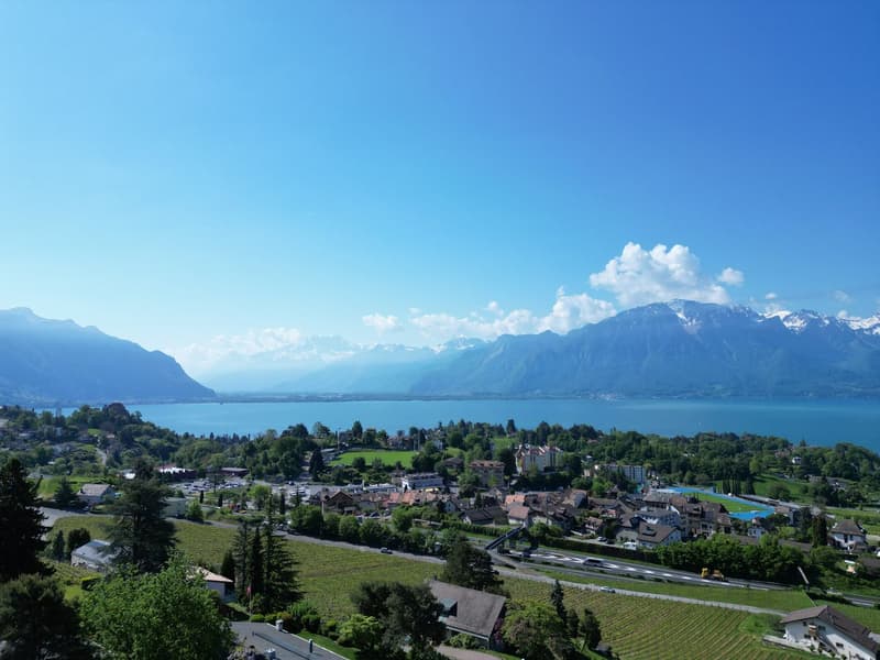 Beautiful 12-room property with a pool and a grand panoramic view (2)