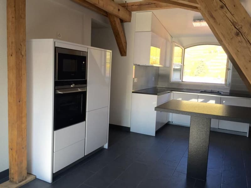 DUPLEX WITH CHARACTER IN THE CENTER OF AIGLE (4)
