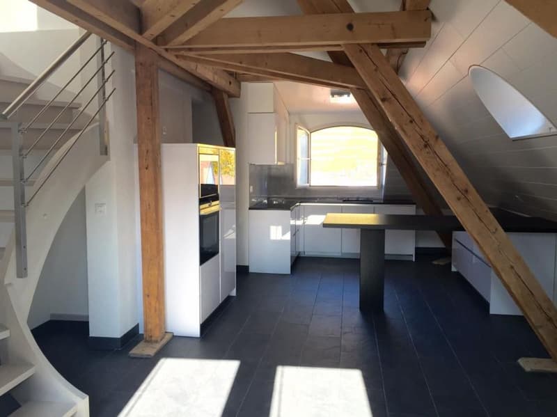 DUPLEX WITH CHARACTER IN THE CENTER OF AIGLE (2)