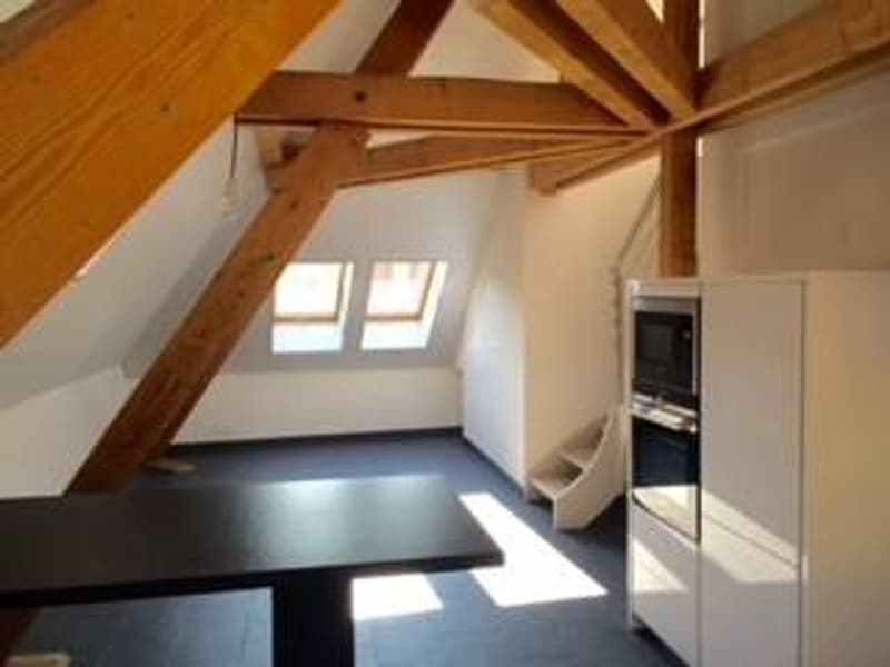 DUPLEX WITH CHARACTER IN THE CENTER OF AIGLE (3)