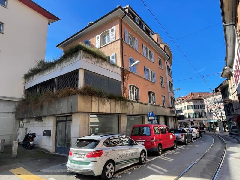 DUPLEX WITH CHARACTER IN THE CENTER OF AIGLE (5)