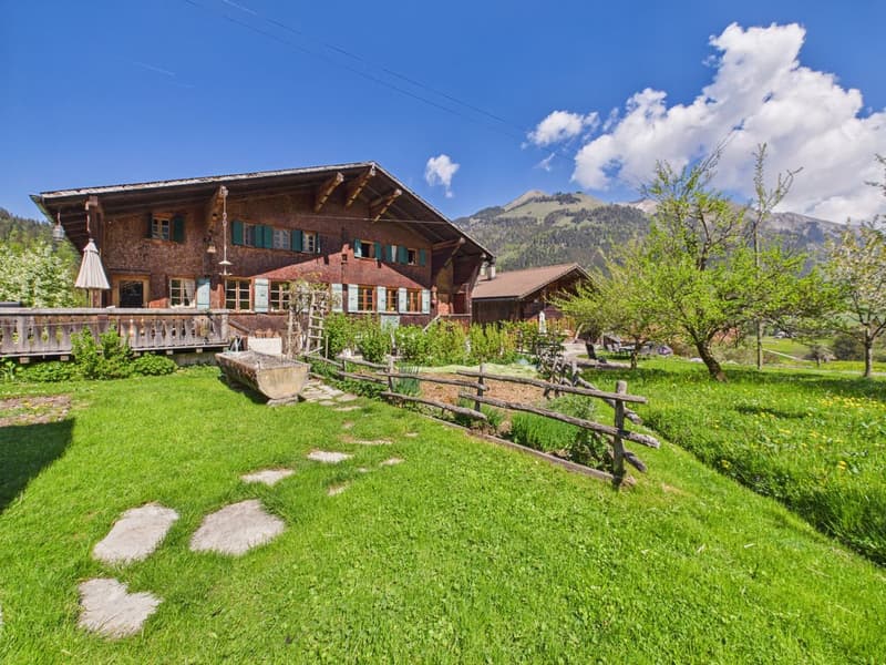 Rare opportunity to buy an old chalet in Château-d'Oex (1)