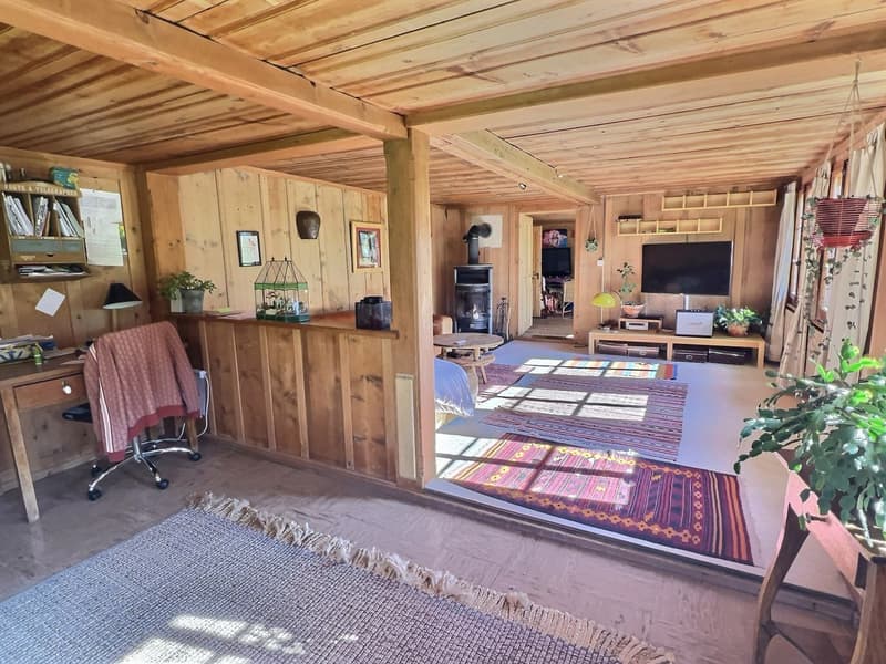 Rare opportunity to buy an old chalet in Château-d'Oex (5)