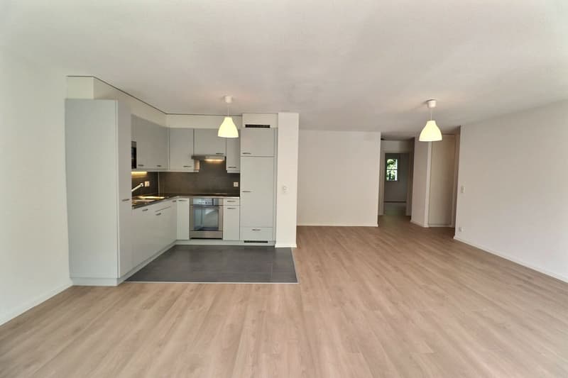 Beautiful 4.5-room apartment with renovation, terrace, and garden (8)