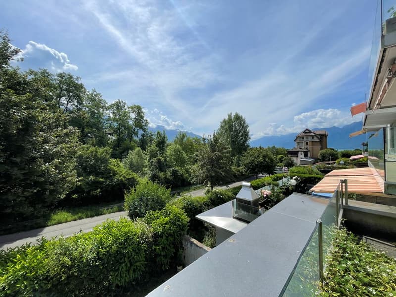 Beautiful 4.5-room apartment with renovation, terrace, and garden (5)