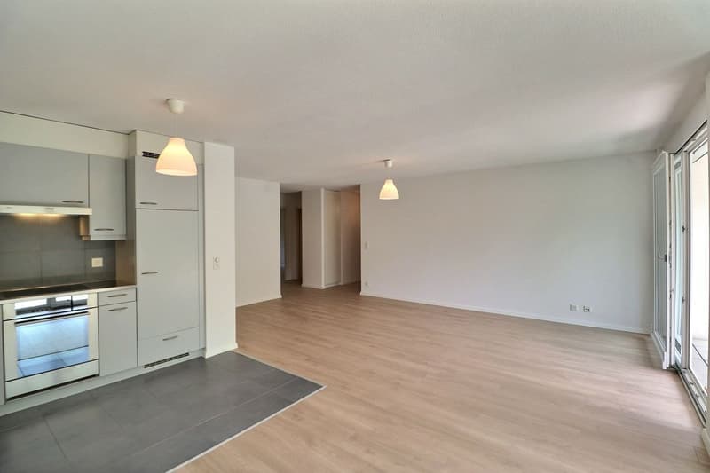 Beautiful 4.5-room apartment with renovation, terrace, and garden (4)