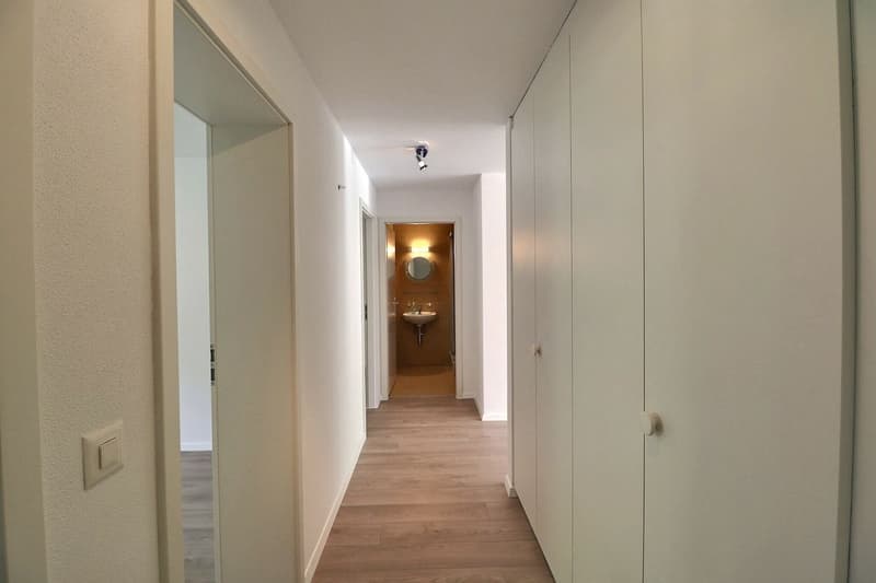 Beautiful 4.5-room apartment with renovation, terrace, and garden (10)