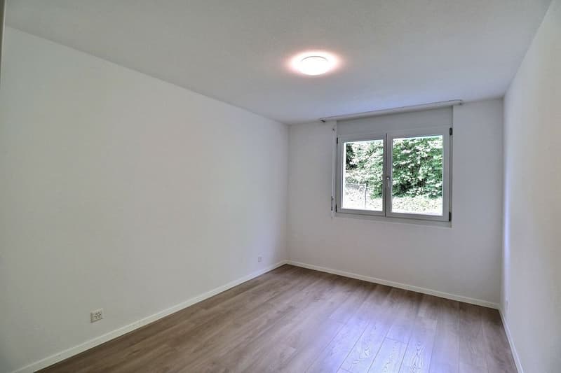 Beautiful 4.5-room apartment with renovation, terrace, and garden (13)