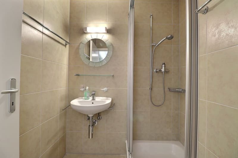 Beautiful 4.5-room apartment with renovation, terrace, and garden (12)